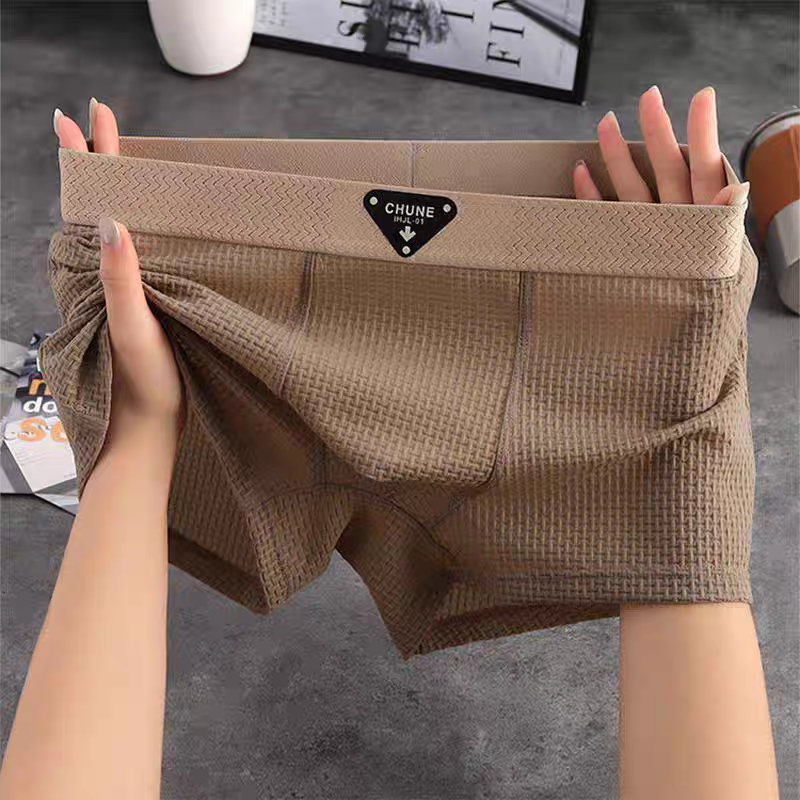 Landon Ice Silk Boxer Briefs