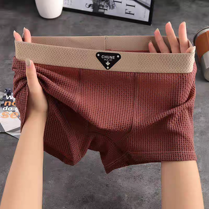 Landon Ice Silk Boxer Briefs